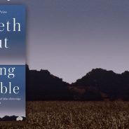 Book Review of Anything is Possible by Elizabeth Strout