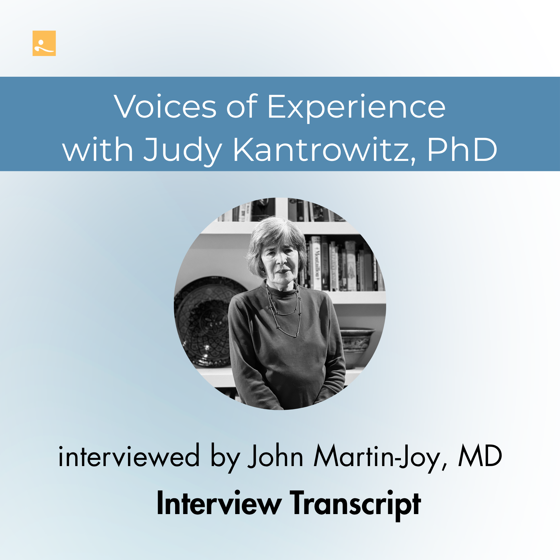 Voice of Experience Interview Title Slide